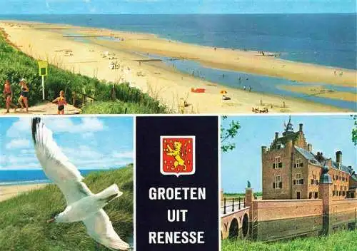 AK / Ansichtskarte 73978923 Renesse_aan_Zee_NL Kuestenpanorama Strand Moewe Schloss