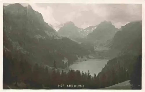 AK / Ansichtskarte  Saembtisersee_Saembtissee_IR Panorama