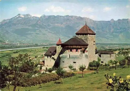 AK / Ansichtskarte 73979781 Liechtenstein_Fuerstentum Schloss Vaduz