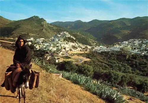 AK / Ansichtskarte 73979965 Moulay-Idris_Moulay-Idriss_Maroc La plus veneree du Maroc Panorama