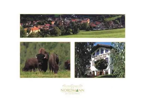 AK / Ansichtskarte 73980036 Stangerode Panorama Reit und Sporthotel Nordmann Bisons