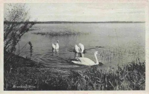 AK / Ansichtskarte 73980121 ARENDSEE_Mecklenburg_KueHLUNGSBORN_Ostseebad Schwanenteich