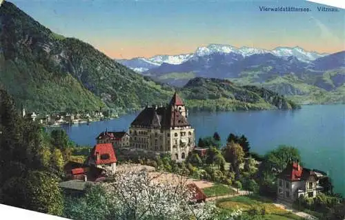 AK / Ansichtskarte  Vitznau_Witznau_Vierwaldstaettersee_LU Panorama Park-Hotel Vierwaldstaettersee Alpen