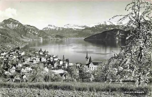 AK / Ansichtskarte  Weggis_Vierwaldstaettersee Panorama