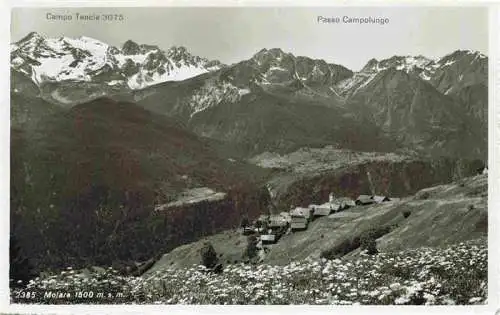 AK / Ansichtskarte 73983235 Molare_Piemonte_Italia Campo Tencia Passo Campolungo