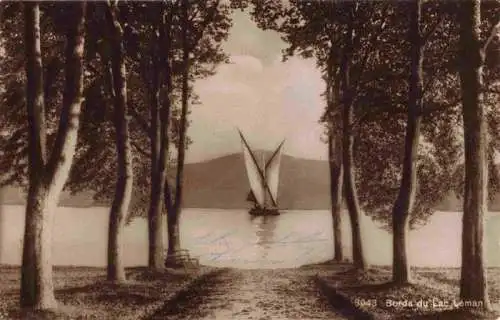 AK / Ansichtskarte  Lac_Leman_Genfersee_GE Bords du Lac Leman