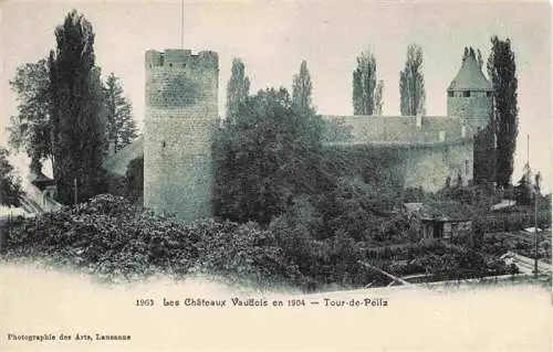 AK / Ansichtskarte  Tour-de-Peilz_La_VD Les Châteaux Vaudois