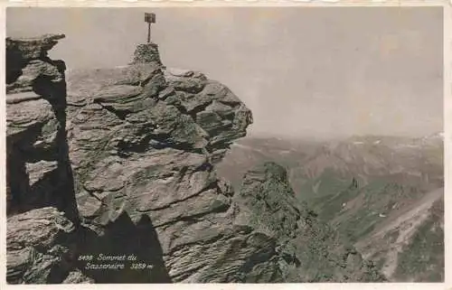 AK / Ansichtskarte  Sommet_du_Sasseneire_3259m_Bretigny-sur-Morrens_VD Panorama