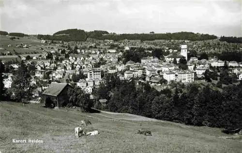 AK / Ansichtskarte  Heiden_AR Panorama