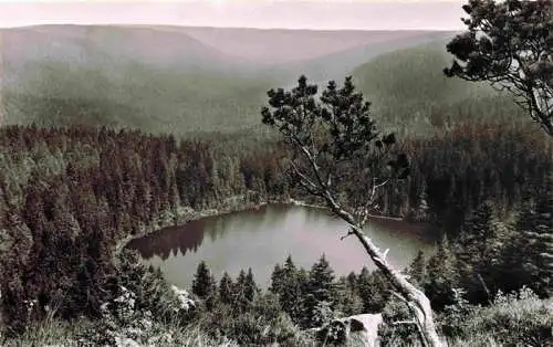 AK / Ansichtskarte 73984445 Ruhestein_Baiersbronn_BW Panorama Wildsee Schwarzwald