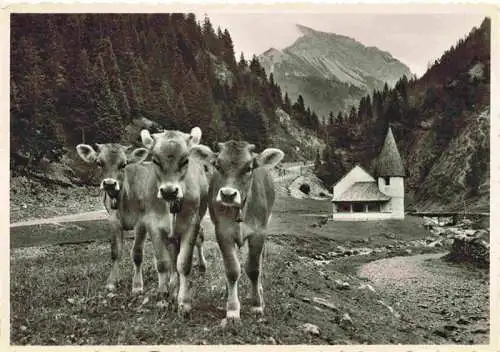 AK / Ansichtskarte 73984848 Steg_Saminatal_Liechtenstein Panorama Rinder Kapelle