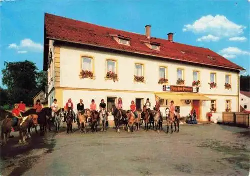 AK / Ansichtskarte 73985876 Steinbach_Marktleugast Pony-Reit-Pension Weidner