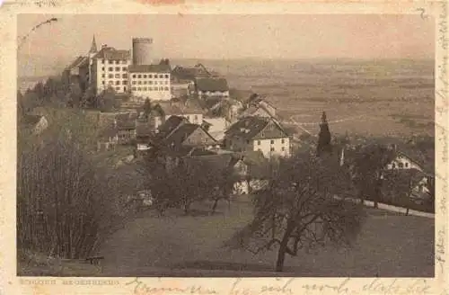 AK / Ansichtskarte  Regensberg_Dielsdorf_ZH Schloss Regensberg