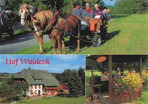 AK / Ansichtskarte 73986804 Grafenhausen_Schwarzwald Hof Waldeck Pferdewagen Ferien auf dem Bauernhof