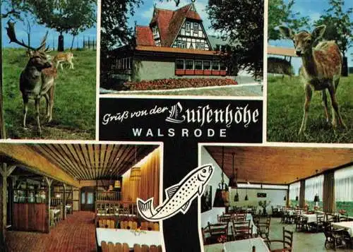 AK / Ansichtskarte 73986982 Walsrode_Lueneburger_Heide Restaurant Luisenhoehe Gastraeume Rehwild