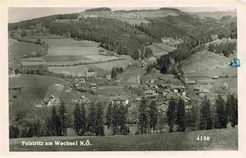 AK / Ansichtskarte 73987190 Freistritztal am Wechsel