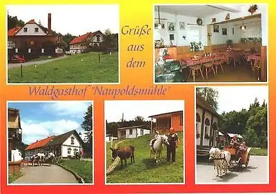 AK, Eisenberg Thür., Waldgasthof Naupoldsmühle, ca.1997