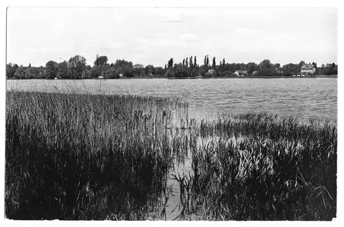 AK, Schwerin Kr. Königs Wusterhausen, Blick zur Aue, 1963