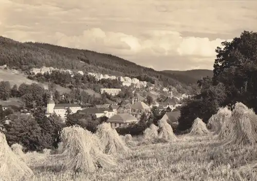 AK, Schmiedeberg Erzgeb., Kr. Dippoldiswalde, Teilansicht, Getreidehocken, 1968