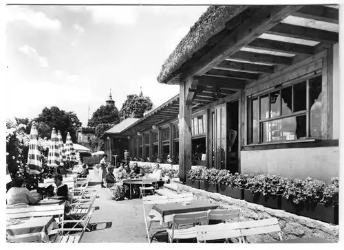 AK, Langenburg Hohenloher Land, Schloß-Café im Rosengarten, 1973