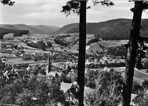 AK, Baiersbronn Schwarzwald, Teilansicht, 1971