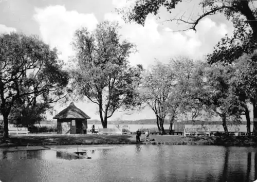 AK, Neustrelitz, Am Zierker See, 1964