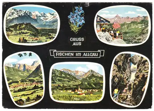 AK, Fischen im Allgäu, fünf Abb., gestaltet, 1968