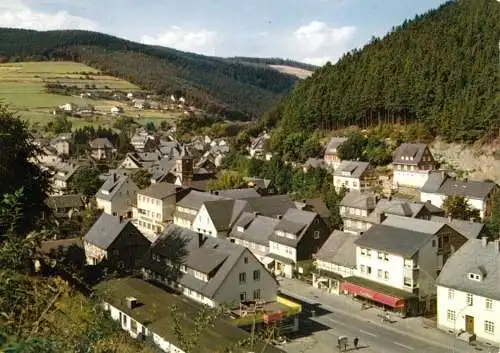 AK, Willingen Waldeck, Teilansicht mit Straßenpartie, 1971