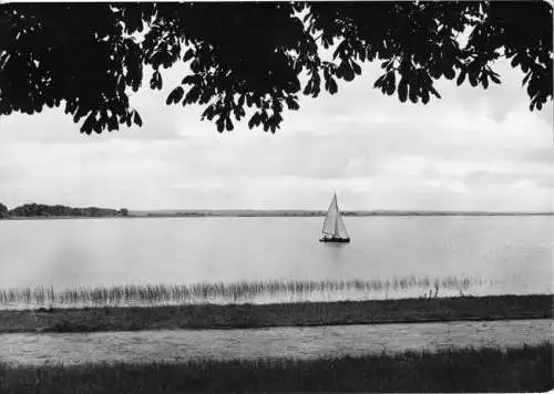 AK, Prenzlau, Partie am Unteren Uckersee, 1963