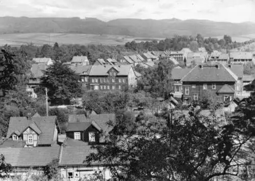 AK, Elrich Südharz, Kr. Nordhausen, Teilansicht, 1971