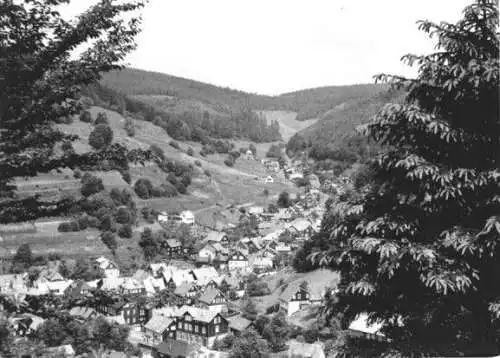 AK, Gießübel Thür. Wald, Teilansicht, Echtfoto, um 1972