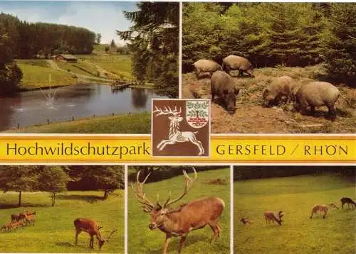 AK, Gersfeld Rhön, Hochwildschutzpark, fünf Abb., um 1999