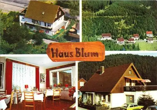 AK, Wildemann Oberharz, Haus Blum, Am Sanickel 16, um 1988