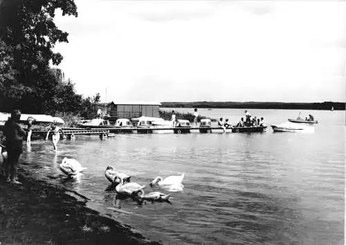 AK, Wendisch Rietz, Badestelle am Scharmützelsee, belebt, 1967