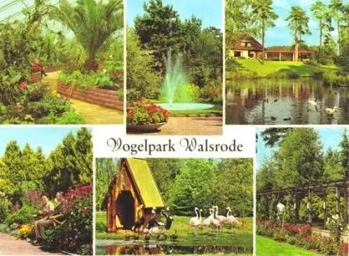 AK, Walsrode, Vogelpark, 6 Abb., um 1970