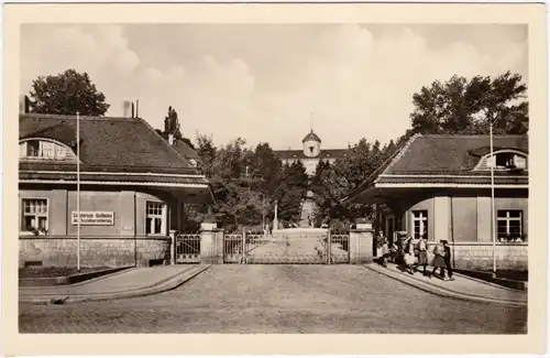 Bad Gottleuba-Berggießhübel Sanatorium der SVK Fotokarte  1955