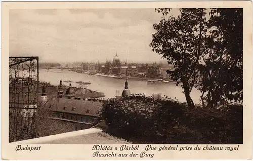 Budapest Kilátás a Várból  Ansichtskarte Magyar 1929