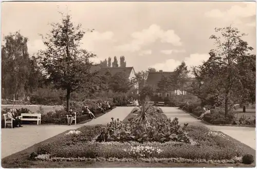 Bad Düben Im Kurpark 1956