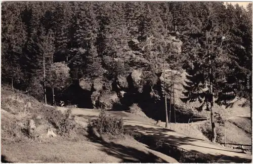 Foto Ansichtskarte Masserberg Partie in der Fehrenbacher Schweiz 1957