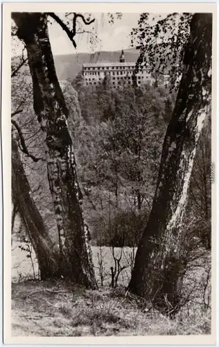 Schwarzburg Schloss Foto Ansichtskarte 1956