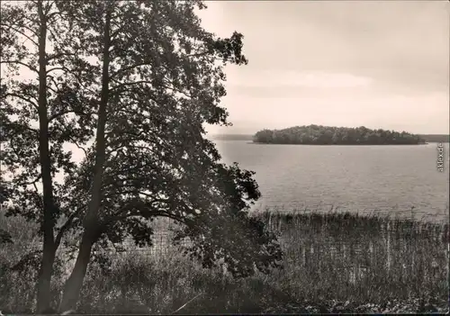 Rheinsberg (Mark) Blick auf den Rheinsberger See mit der Remus-Insel 1975