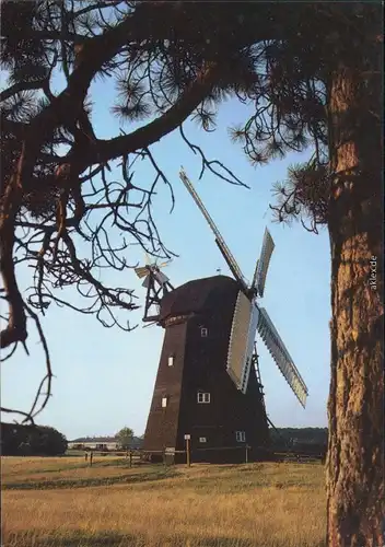 Alt Schwerin Agrarhistorisches Museum, Erdholländermühle 1988