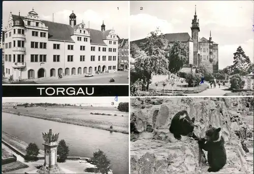 Torgau   Hartenfels Denkmal der Begegnung an der Elbe 4 Bärenfreigehege 1979