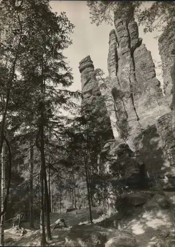 Ansichtskarte Rosenthal-Bielatal Schiefer Turm und Chinesischer Turm 1970