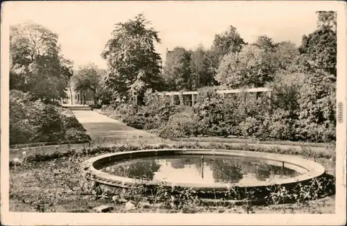 Ansichtskarte Zerbst Rephuns-Garten - Brunnen 1958