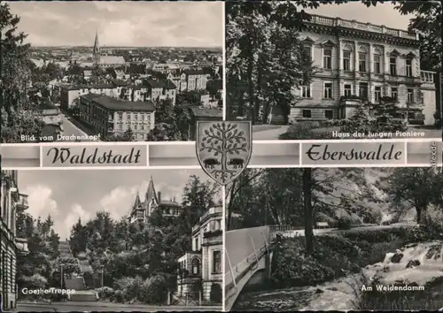 Eberswalde Blick vom Drachenkopf über die Stadt, Haus der Jungen Pioniere 1961