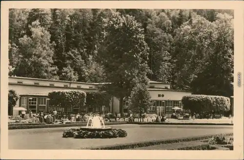 Ansichtskarte Bad Elster Badecafé am Badeplatz 1954