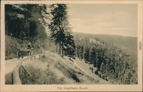 Ansichtskarte Friedrichroda Der Ungeheure Grund - Kutsche 1920