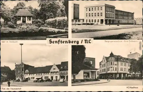 Senftenberg (Niederlausitz 4 Bild Park, Fachhochschule, HO Kaufhaus Markt 1959