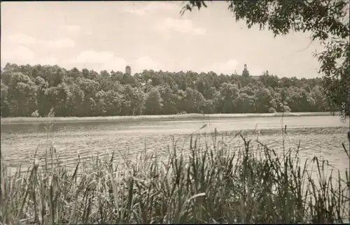 Ansichtskarte Templin Templiner See - Uferbereich 1957